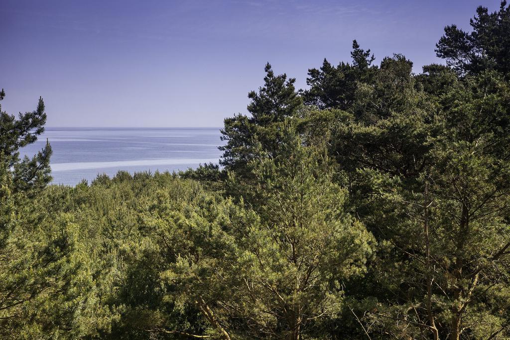 Baltic View Apartment จิปโนแวค ห้อง รูปภาพ